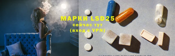 PSILOCYBIN Армянск