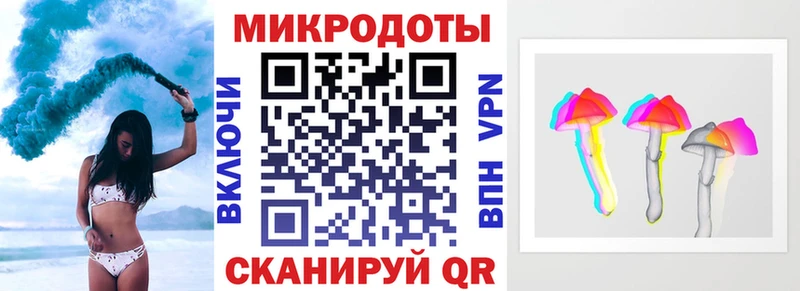 Псилоцибиновые грибы Psilocybe Строитель
